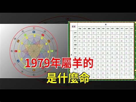 1979五行|1979年五行属什么